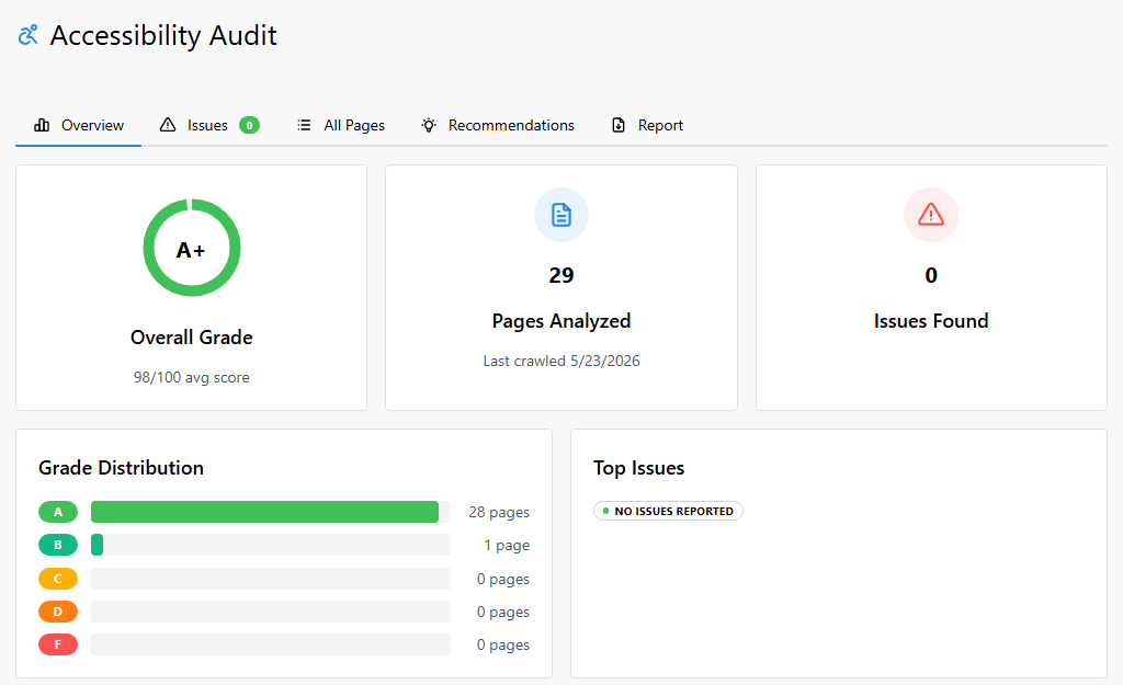 Web Accessibility (WCAG 2.2 AA and ADA Compliance) Audit Preview